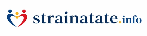 strainatate.info